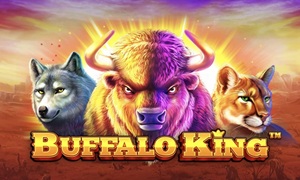 buffalo king