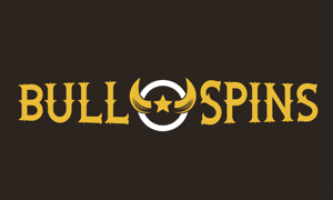bull spins logo