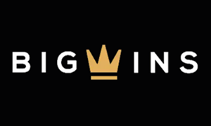 bigwins logo