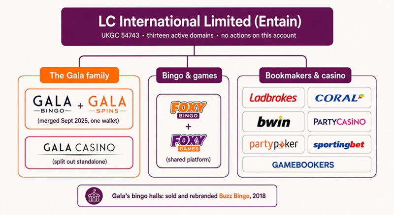 Diagram of LC International's thirteen-domain licence showing the merged Gala Bingo and Spins, the standalone Gala Casino, and the wider Entain brands