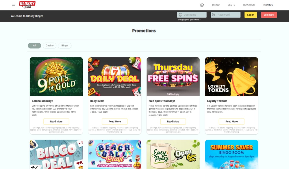 glossy bingo promotions page showing the family's standard wagering small print on every tile