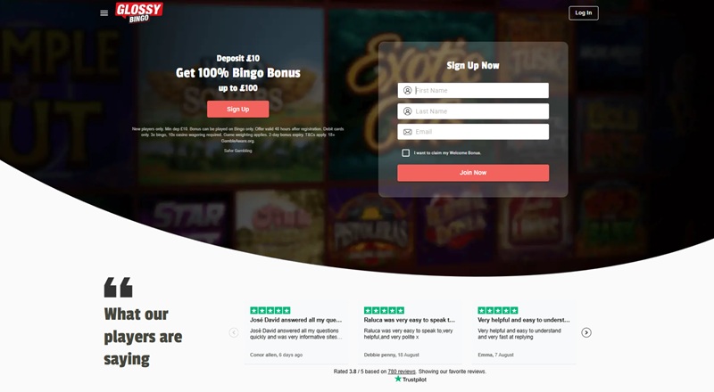 glossy bingo welcome page showing the 100 percent bingo bonus and its printed terms