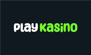 playkasino logo