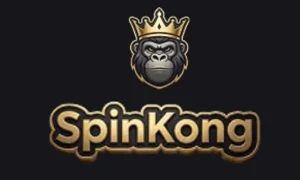Spinkong logo