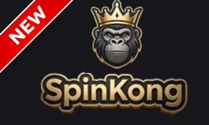 Spinkong logo
