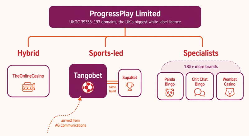 Diagram of ProgressPlay's licence showing Tangobet and its twin SupaBet in a sports-led group beside the network's hybrid and specialist brand