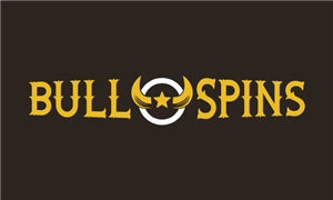 bull spins logo